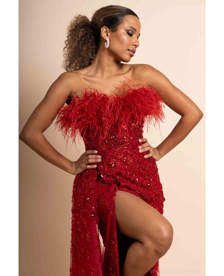 Robe de Cocktail Perlée avec Plumes Rouge